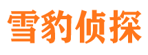 蒲江寻人公司